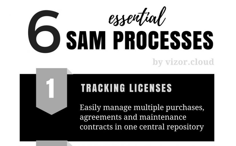 6 Essential SAM Processes – Infographic