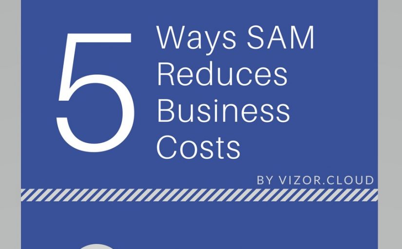 5 Ways SAM Reduces Business Costs – Infographic