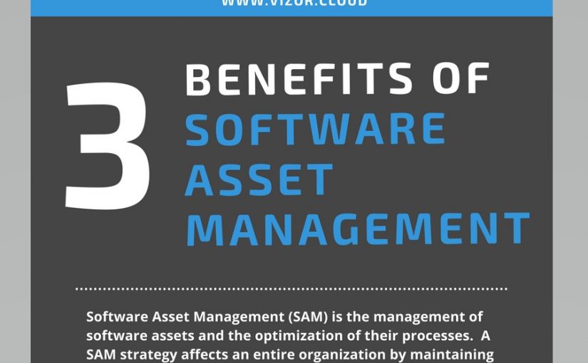 3 Benefits of Software Asset Management – Infographic