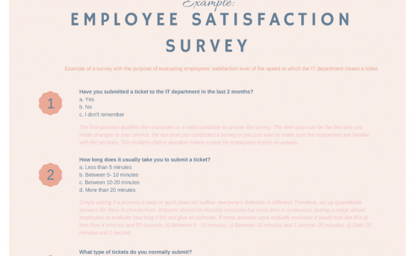 Example of Customer Satisfaction Survey – Infographic
